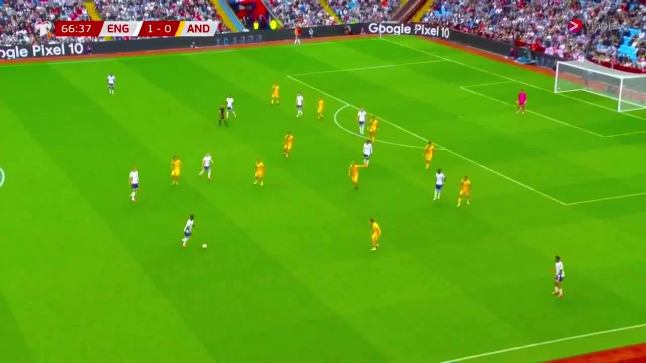 zaslepka skrotu video