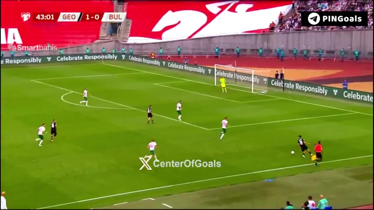 zaslepka skrotu video