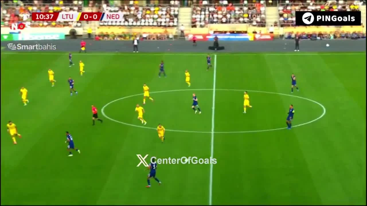 zaslepka skrotu video