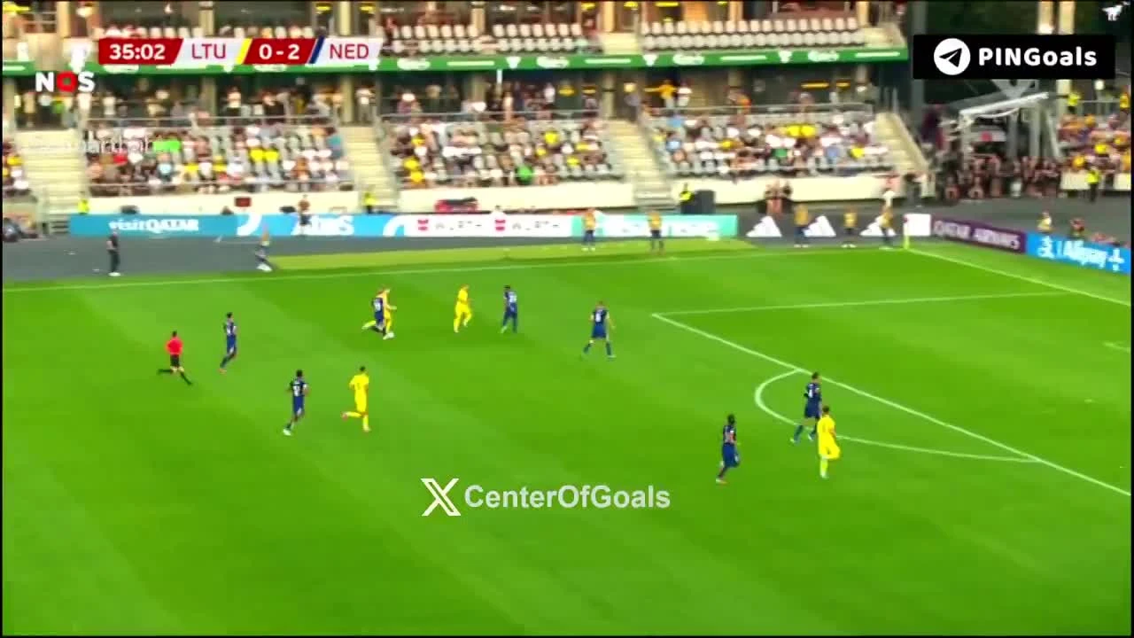 zaslepka skrotu video