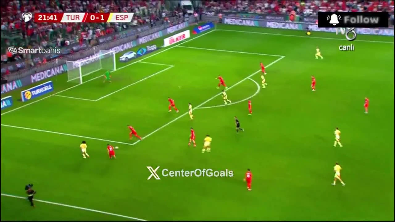 zaslepka skrotu video