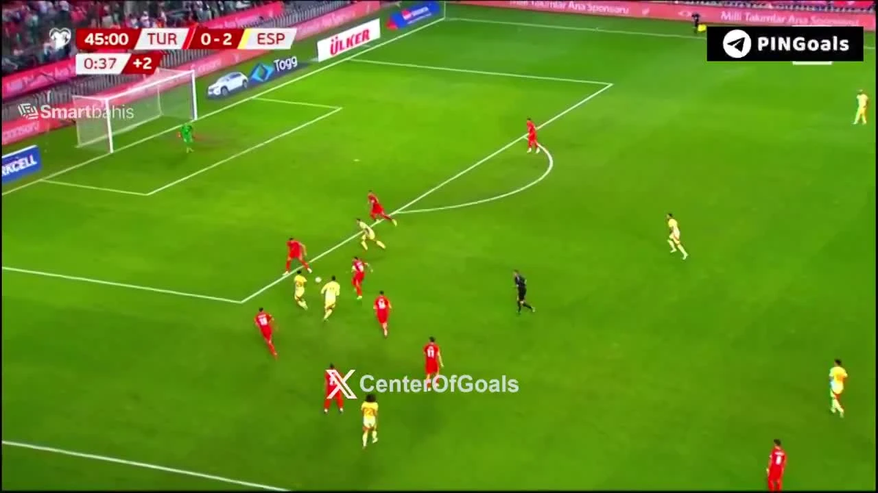 zaslepka skrotu video