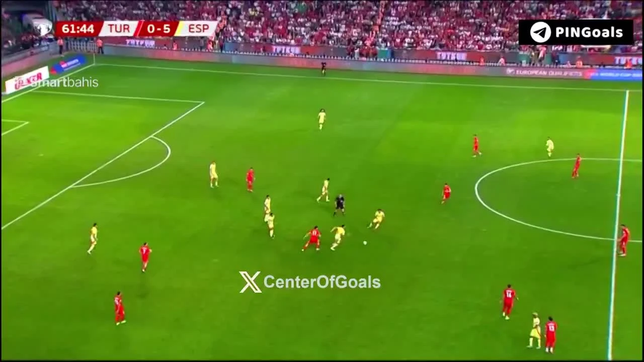 zaslepka skrotu video