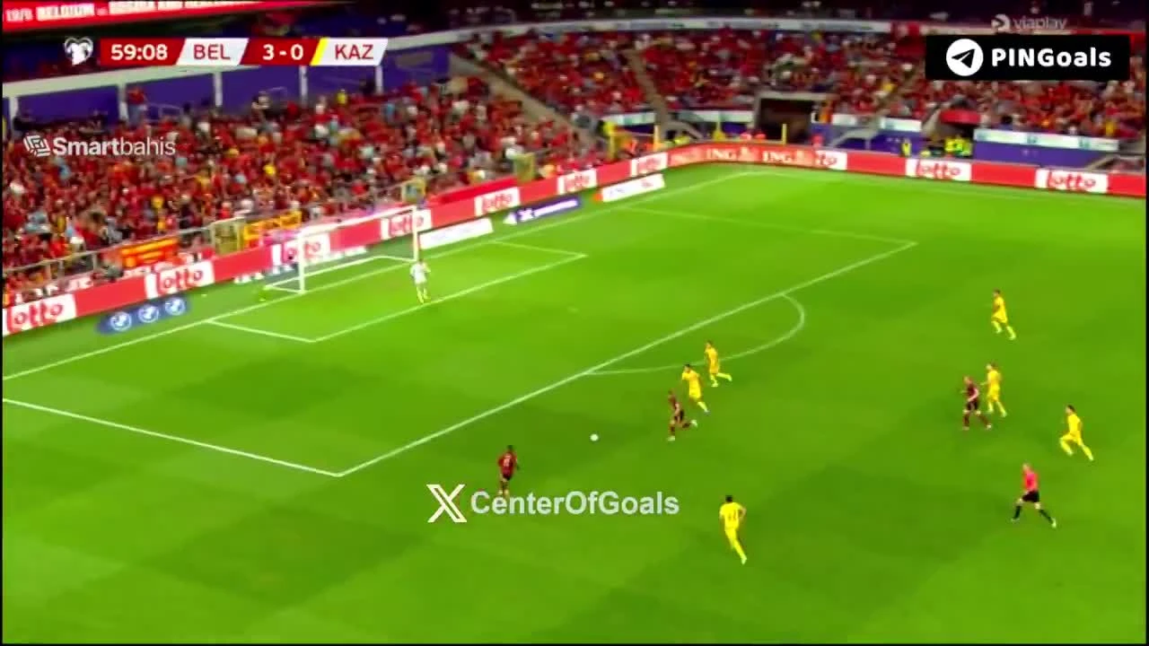 zaslepka skrotu video