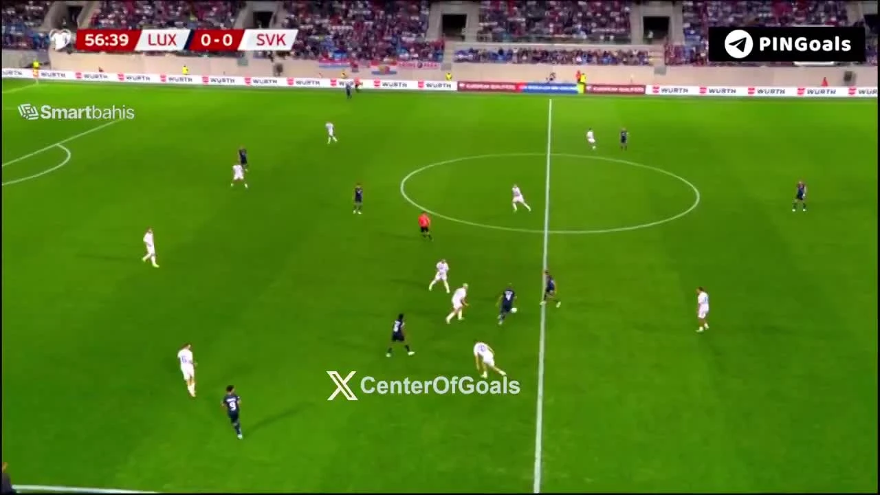zaslepka skrotu video