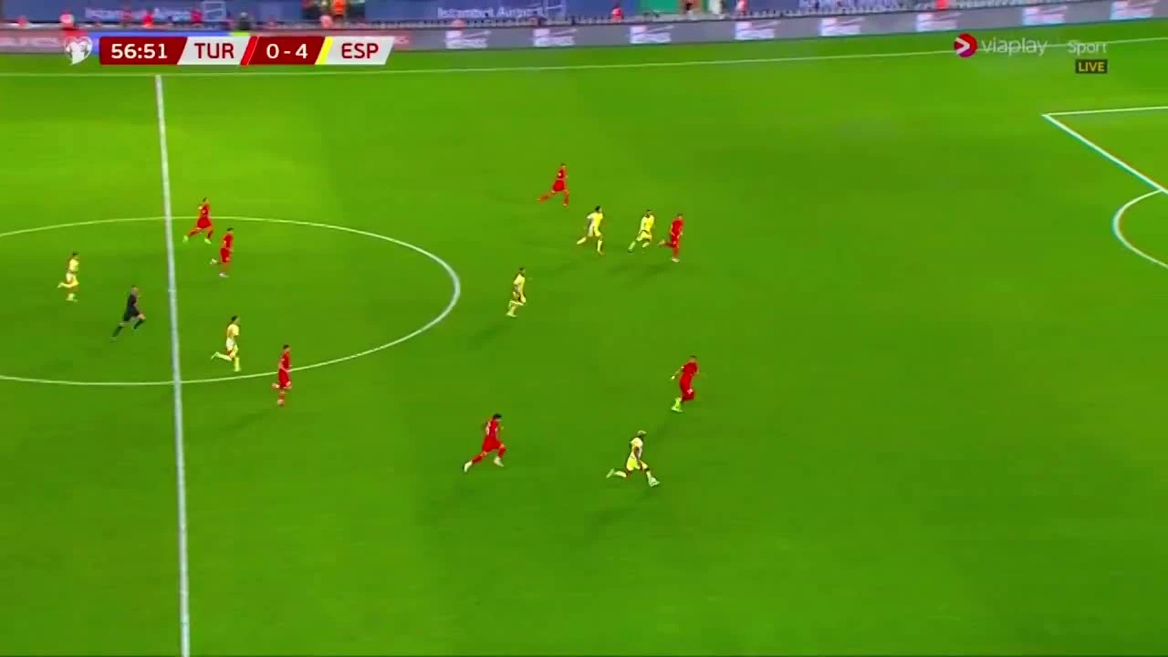 zaslepka skrotu video