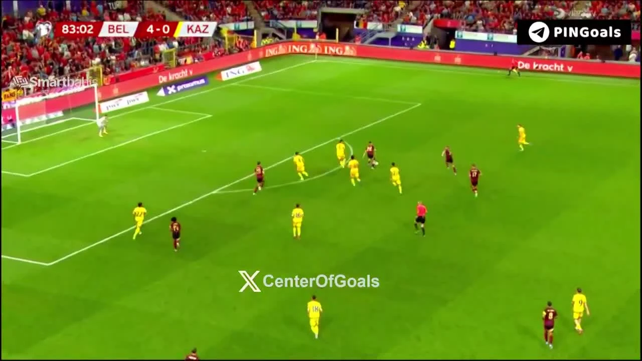 zaslepka skrotu video