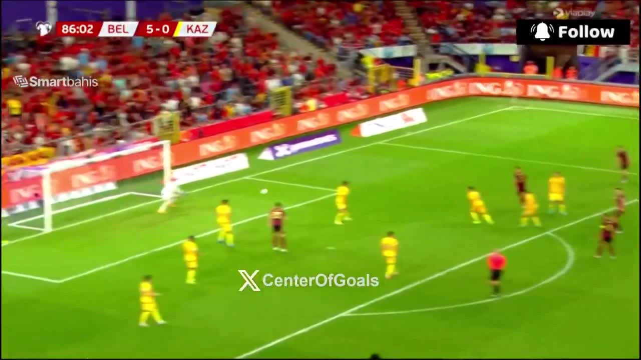 zaslepka skrotu video