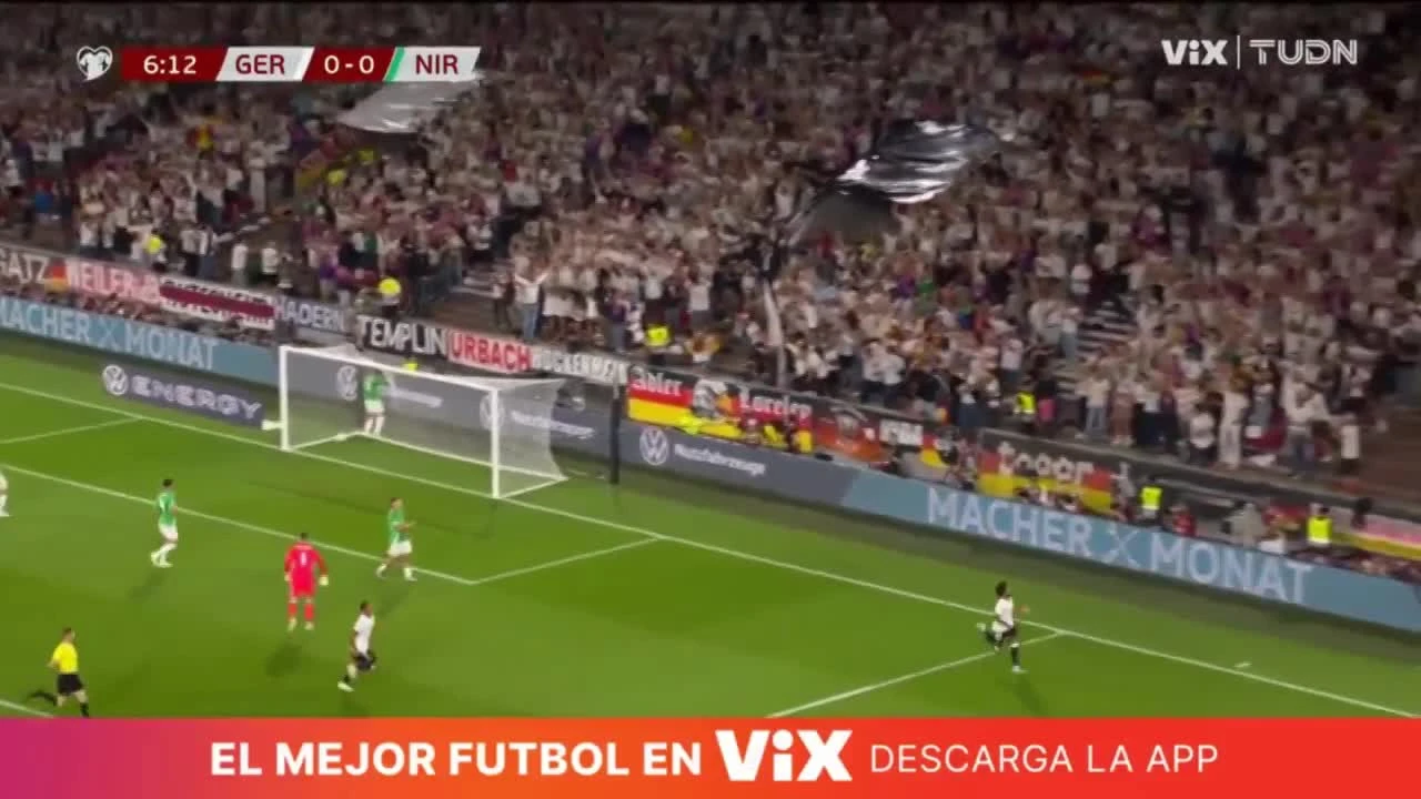 zaslepka skrotu video
