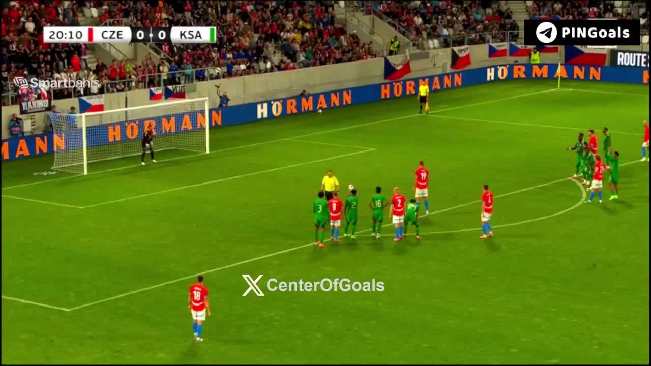 zaslepka skrotu video