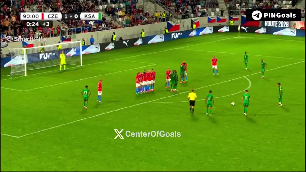zaslepka skrotu video
