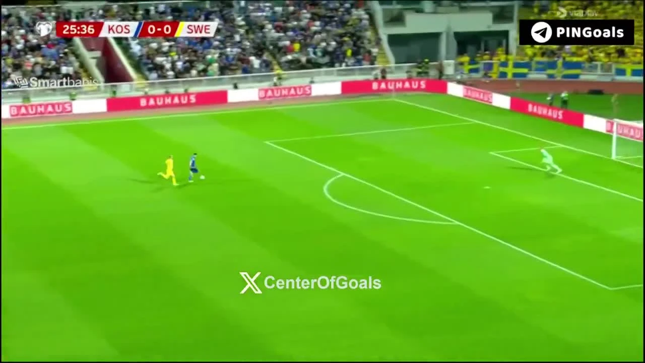 zaslepka skrotu video