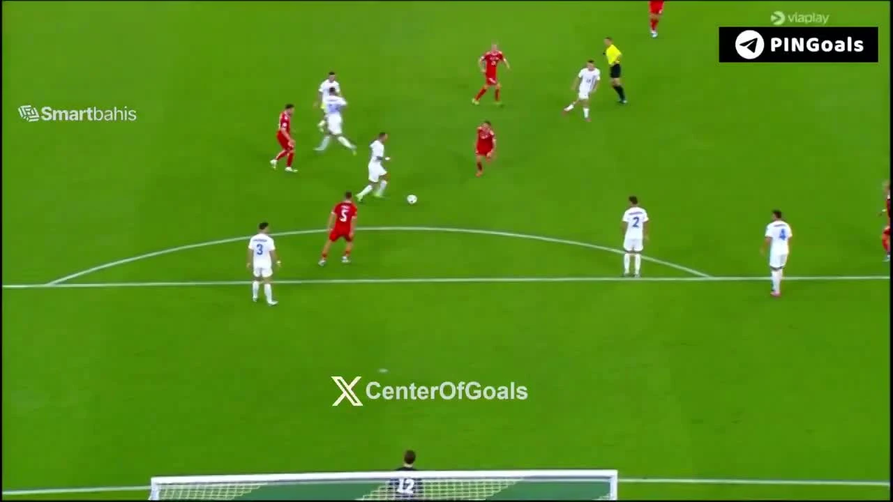 zaslepka skrotu video