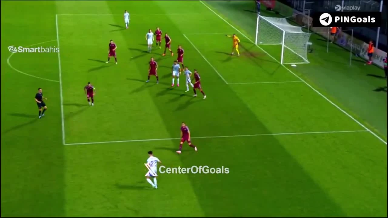 zaslepka skrotu video