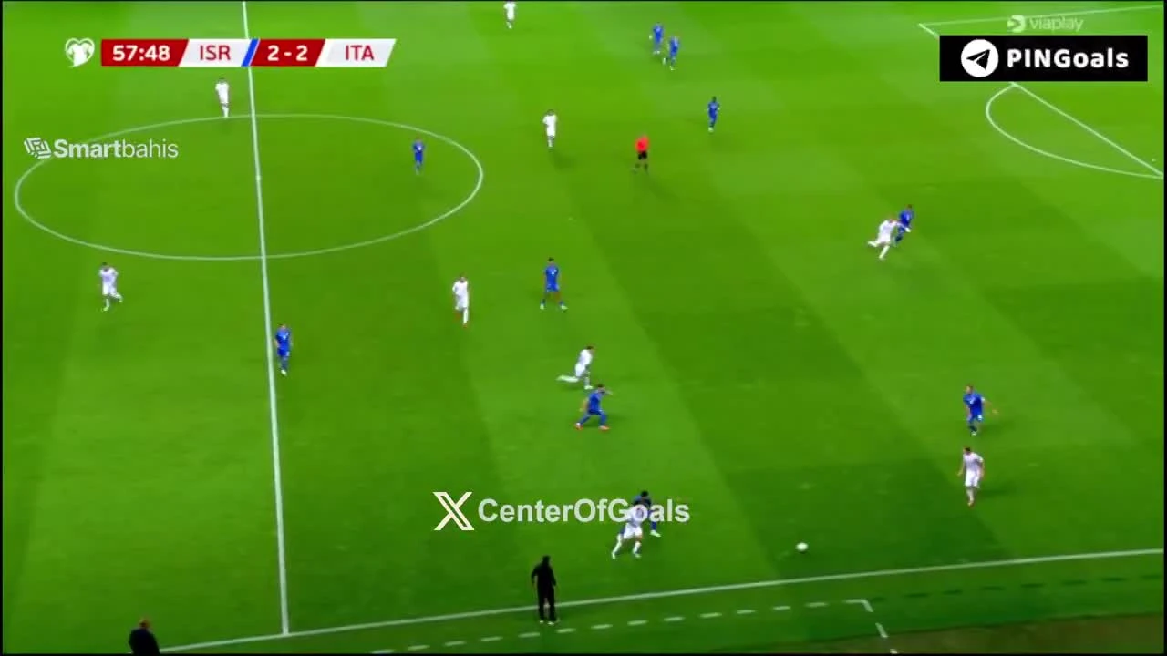 zaslepka skrotu video