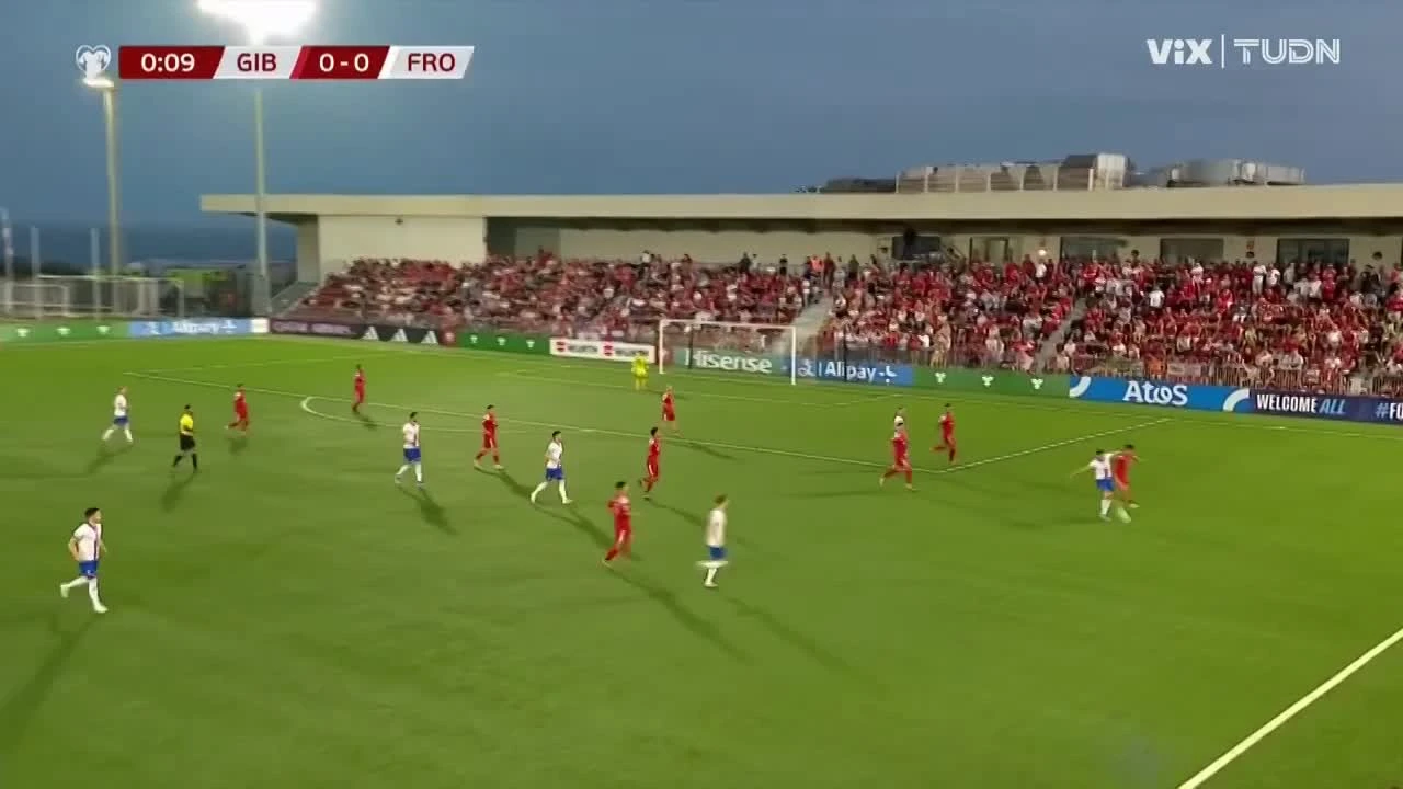 zaslepka skrotu video