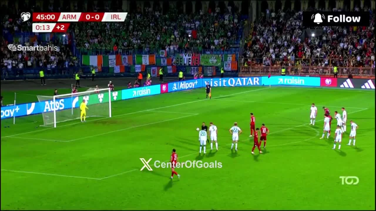 zaslepka skrotu video