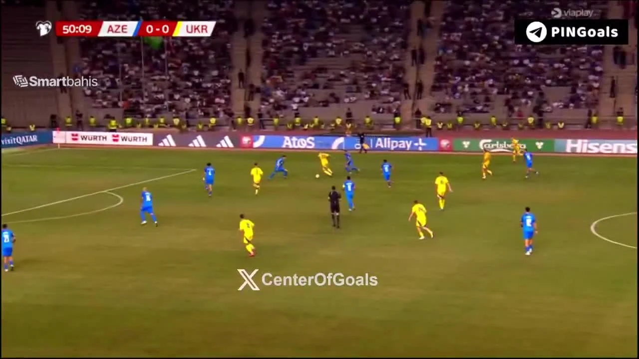 zaslepka skrotu video