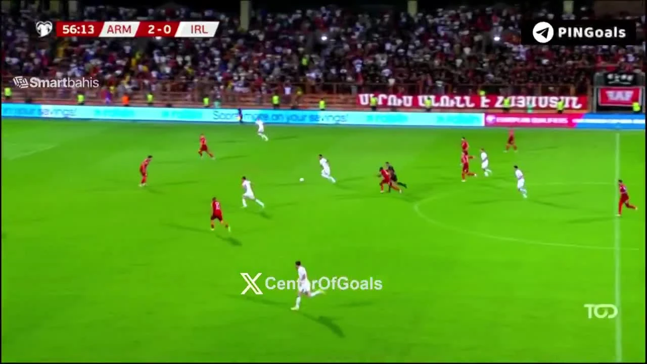 zaslepka skrotu video