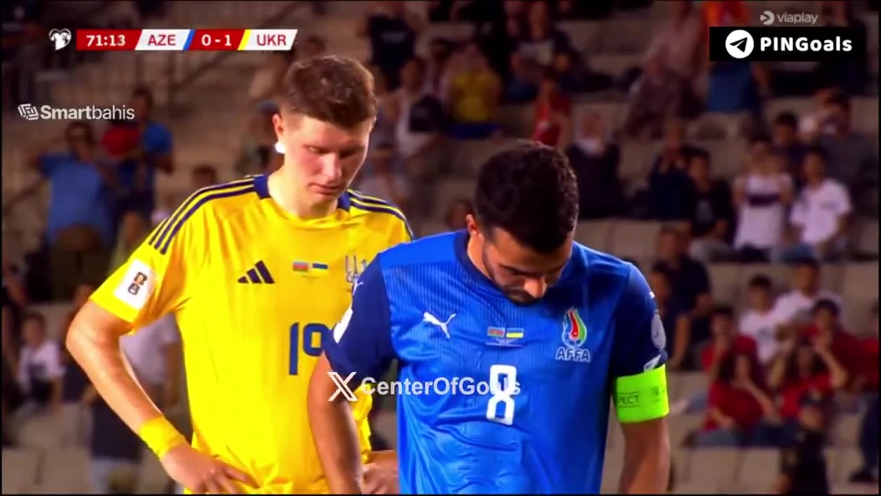 zaslepka skrotu video
