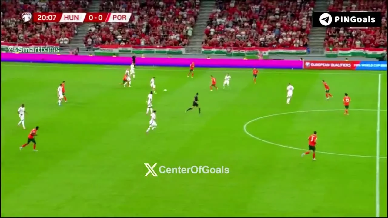 zaslepka skrotu video
