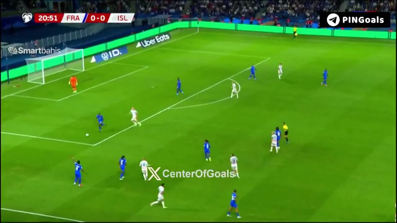 zaslepka skrotu video