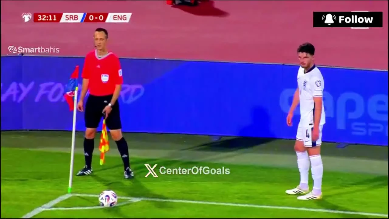 zaslepka skrotu video