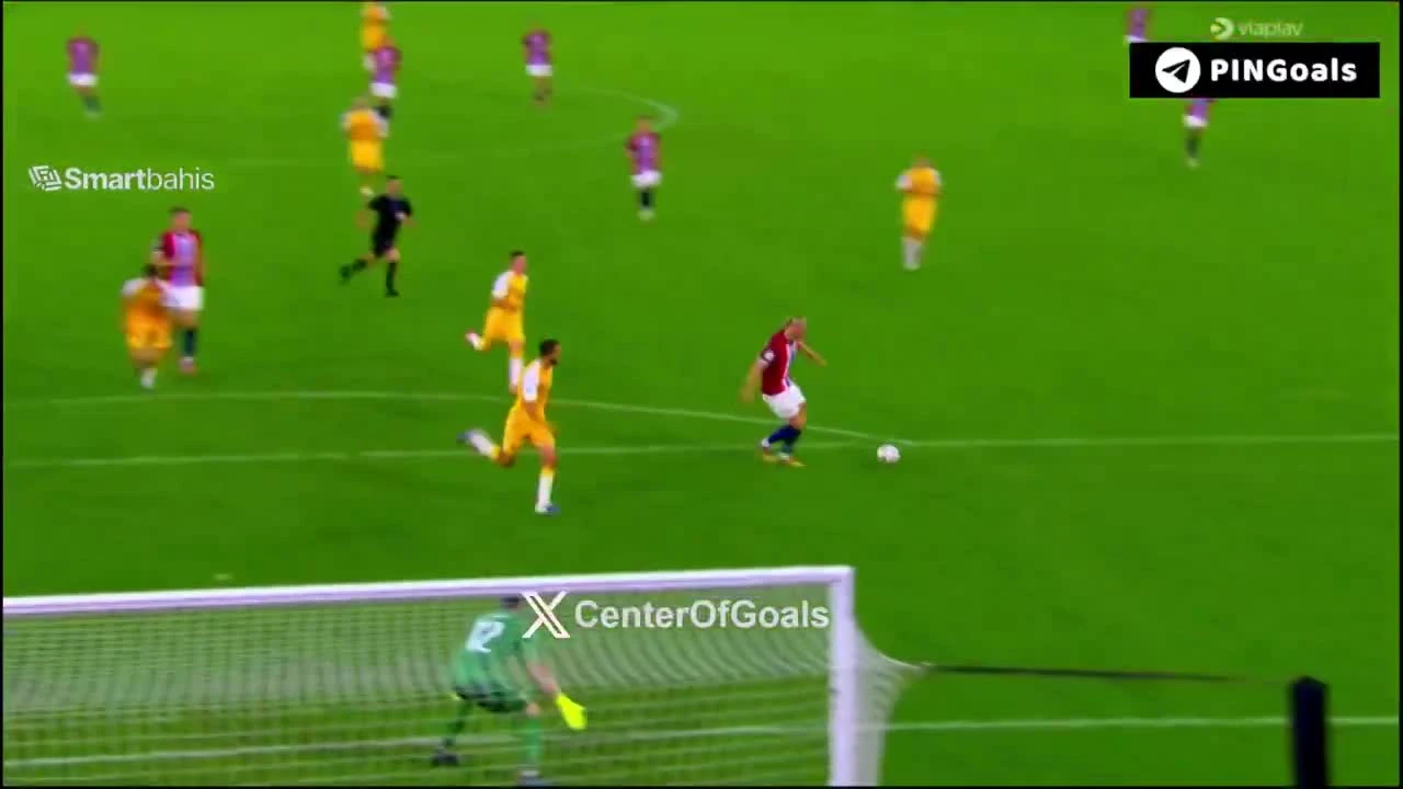 zaslepka skrotu video