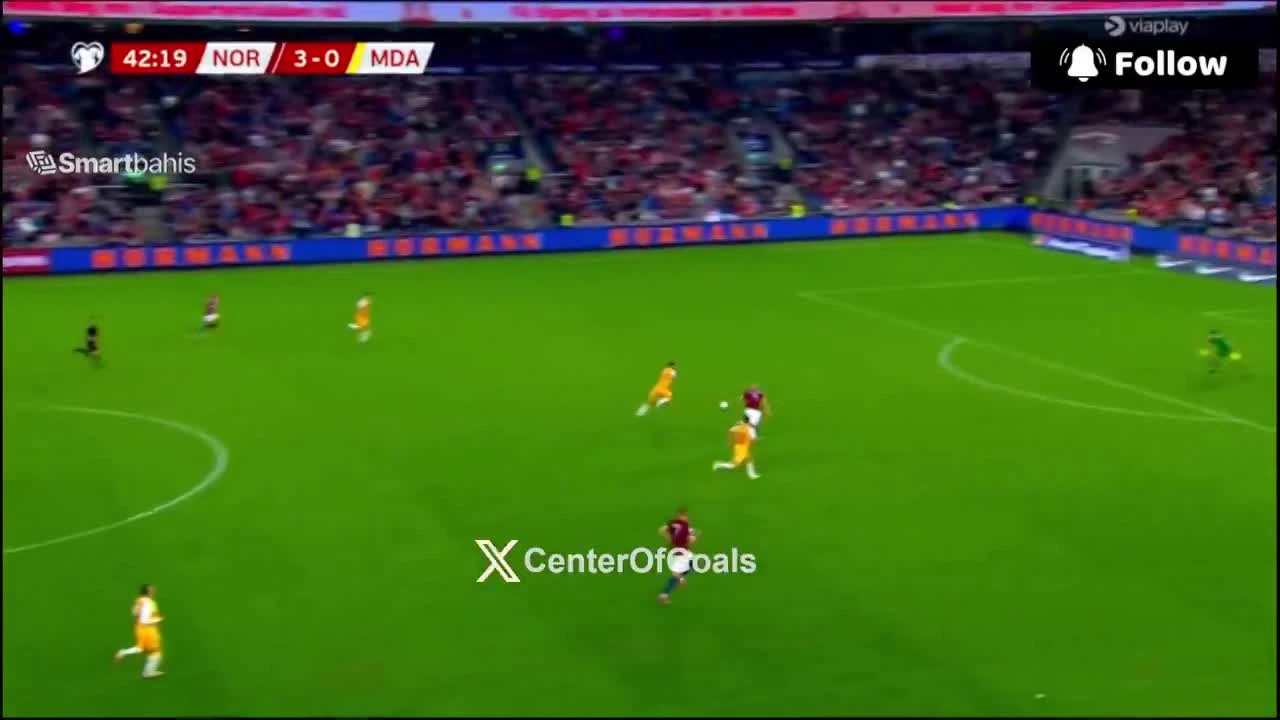 zaslepka skrotu video