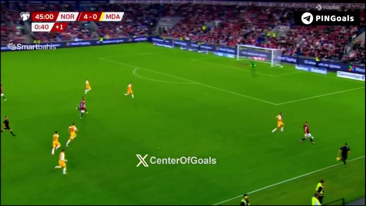 zaslepka skrotu video