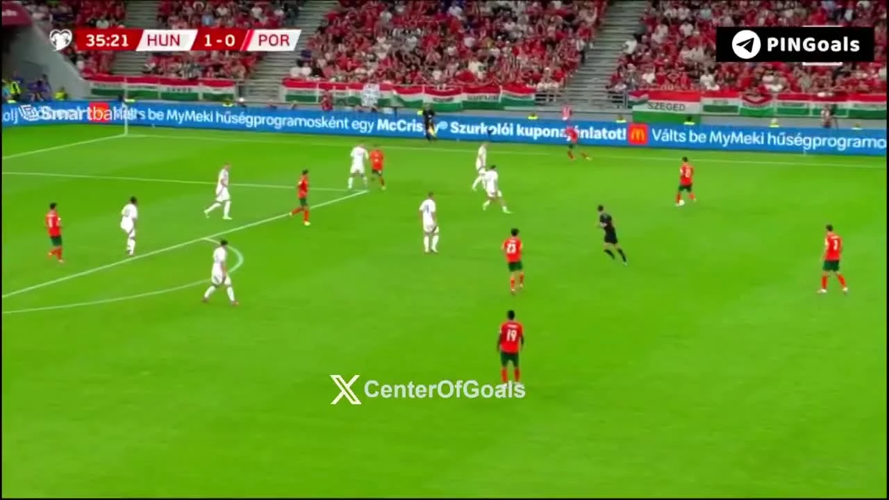 zaslepka skrotu video