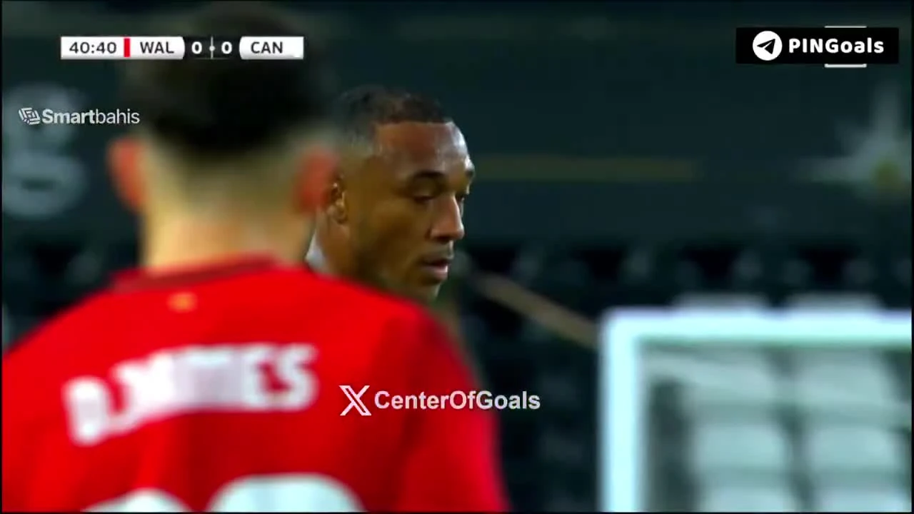 zaslepka skrotu video