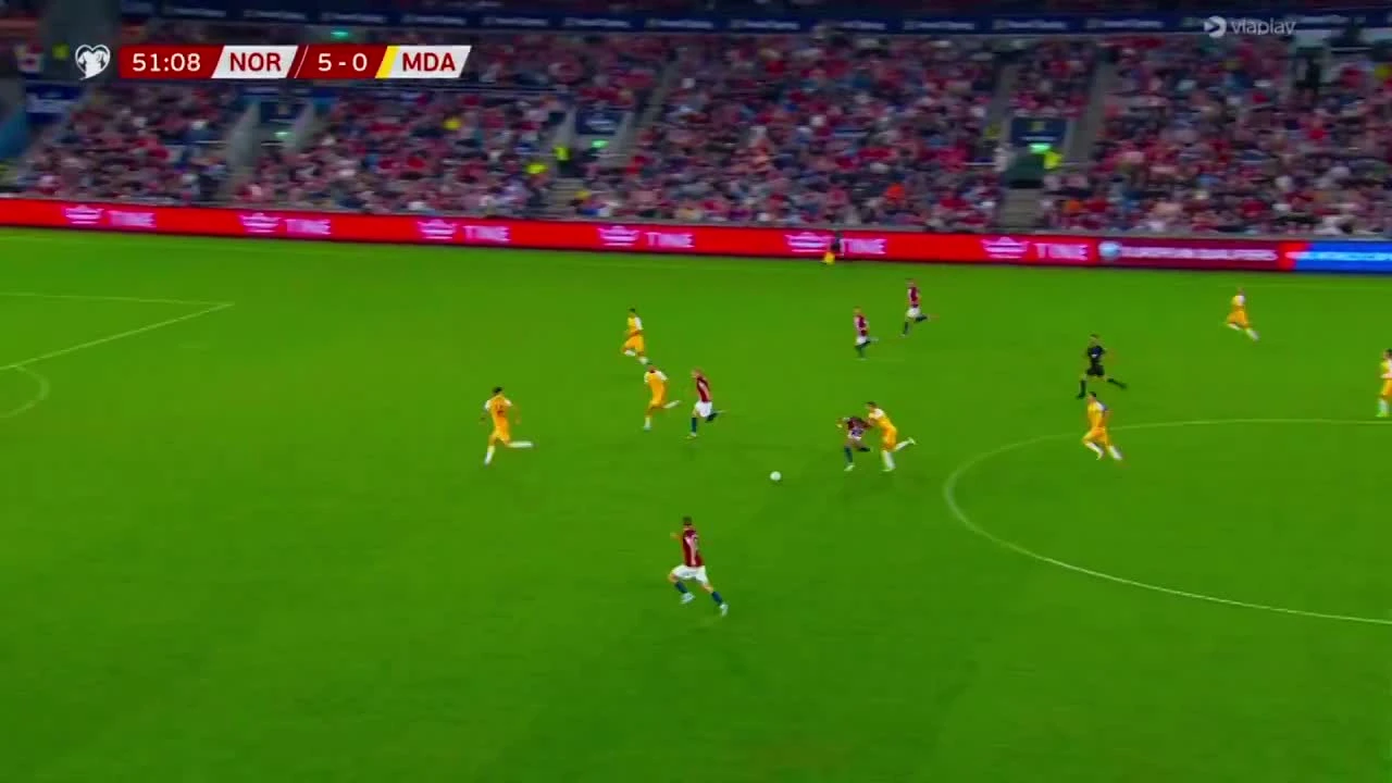 zaslepka skrotu video