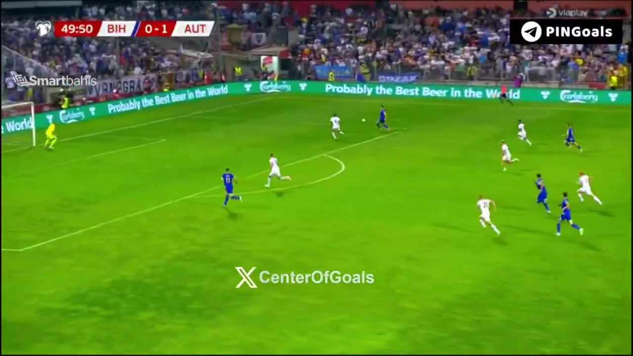 zaslepka skrotu video