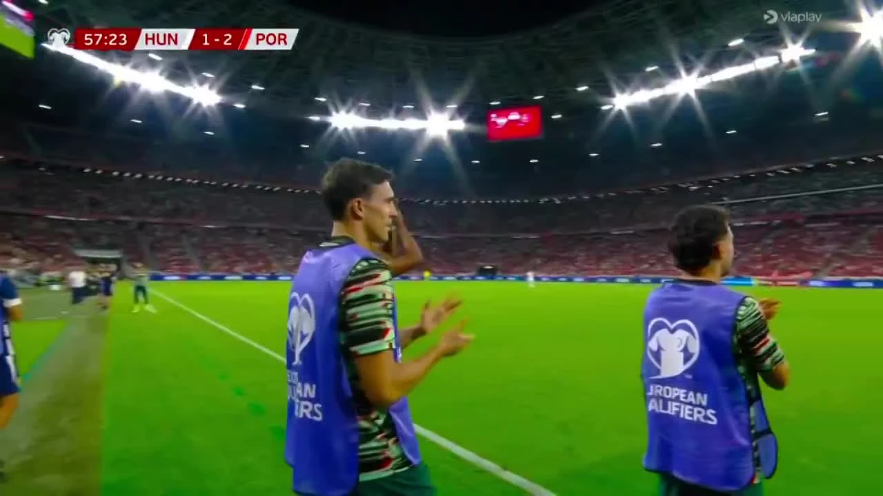 zaslepka skrotu video