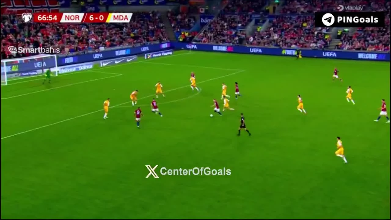 zaslepka skrotu video