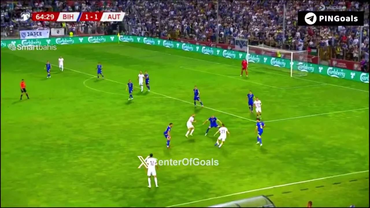 zaslepka skrotu video
