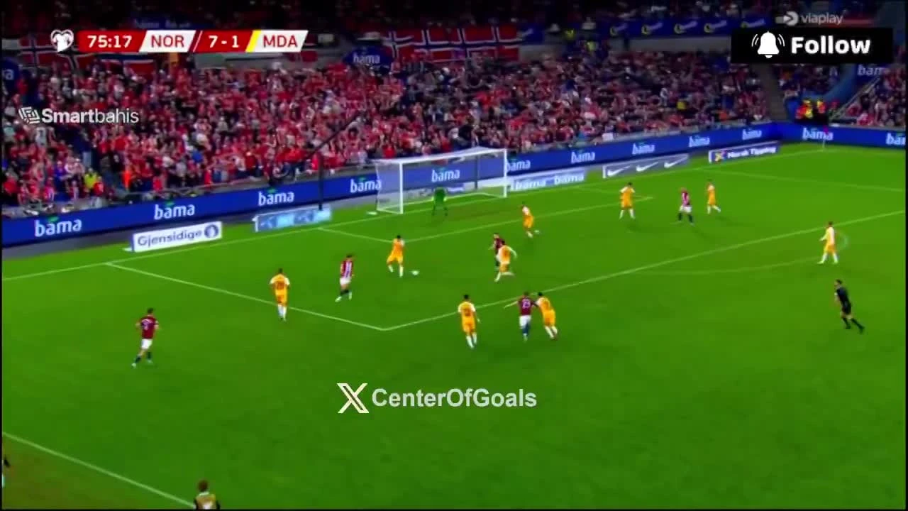 zaslepka skrotu video