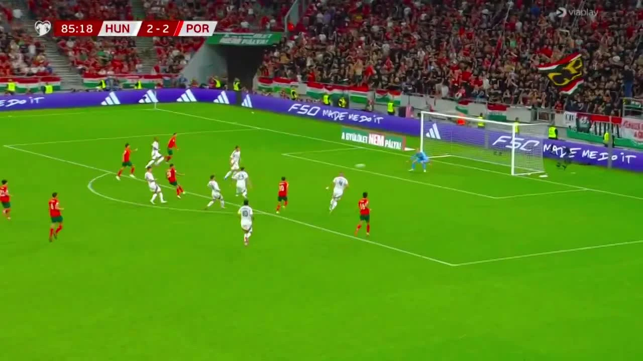 zaslepka skrotu video