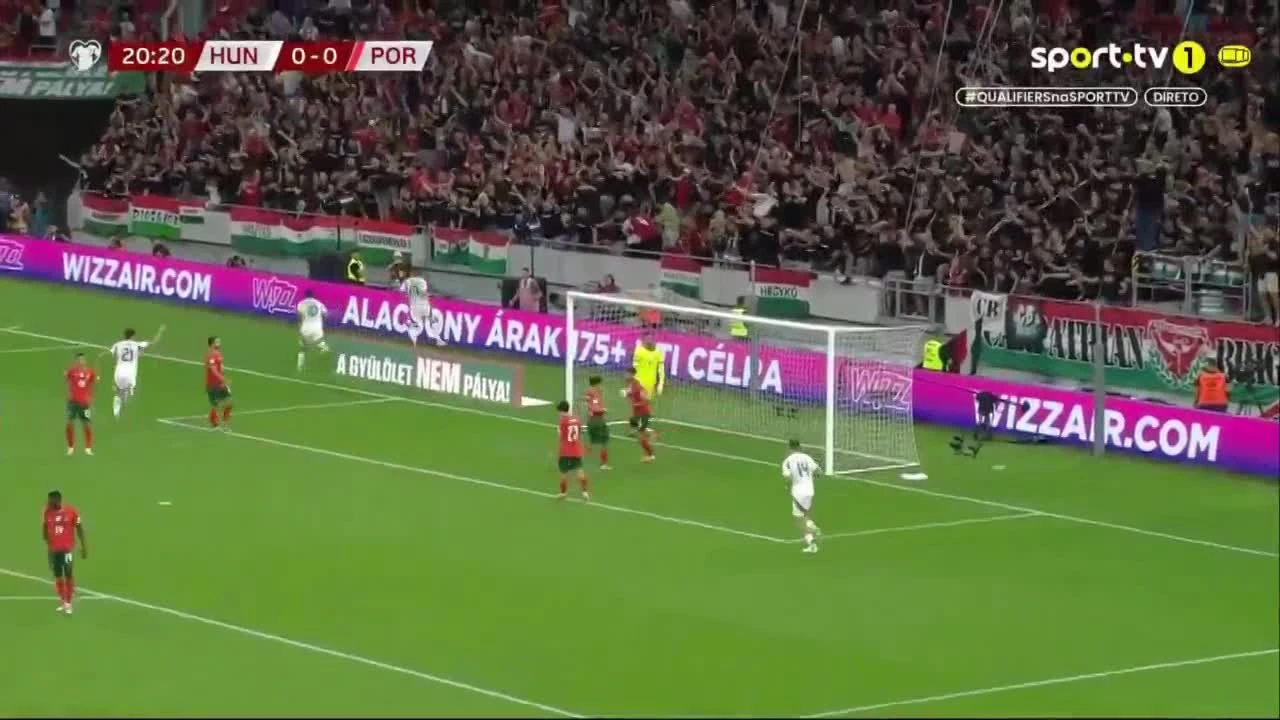 zaslepka skrotu video