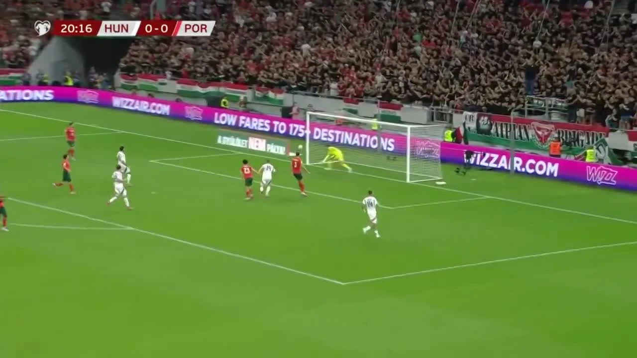 zaslepka skrotu video