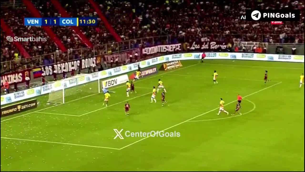 zaslepka skrotu video