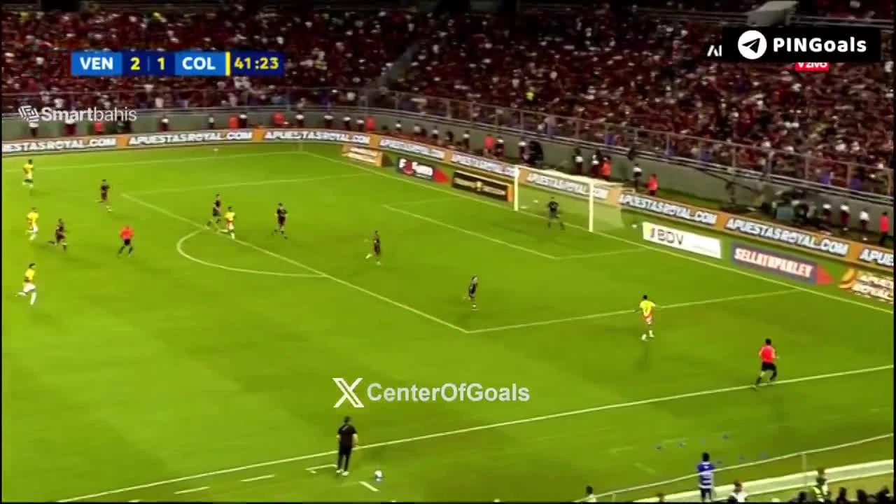 zaslepka skrotu video