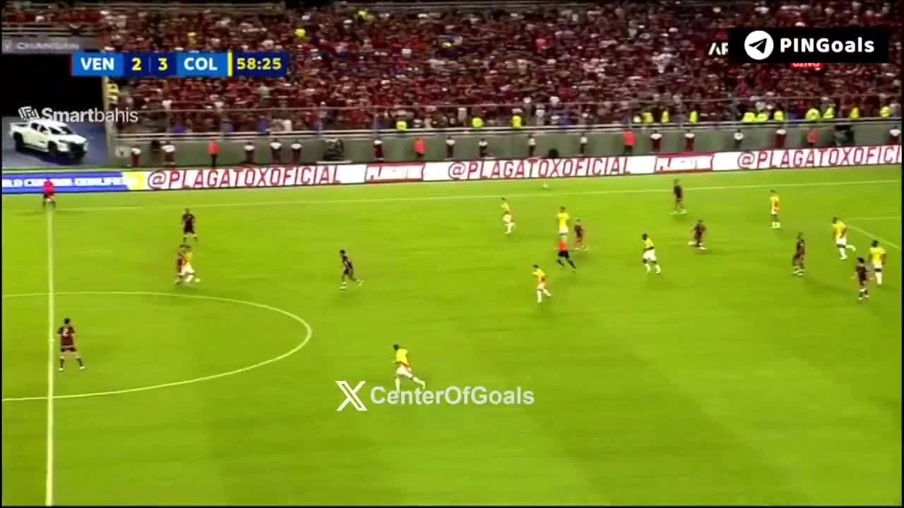 zaslepka skrotu video