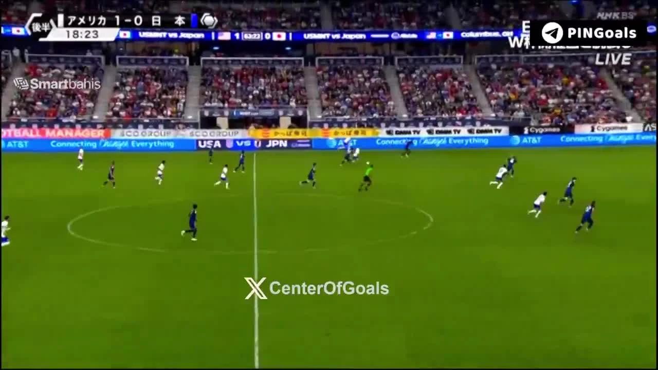 zaslepka skrotu video