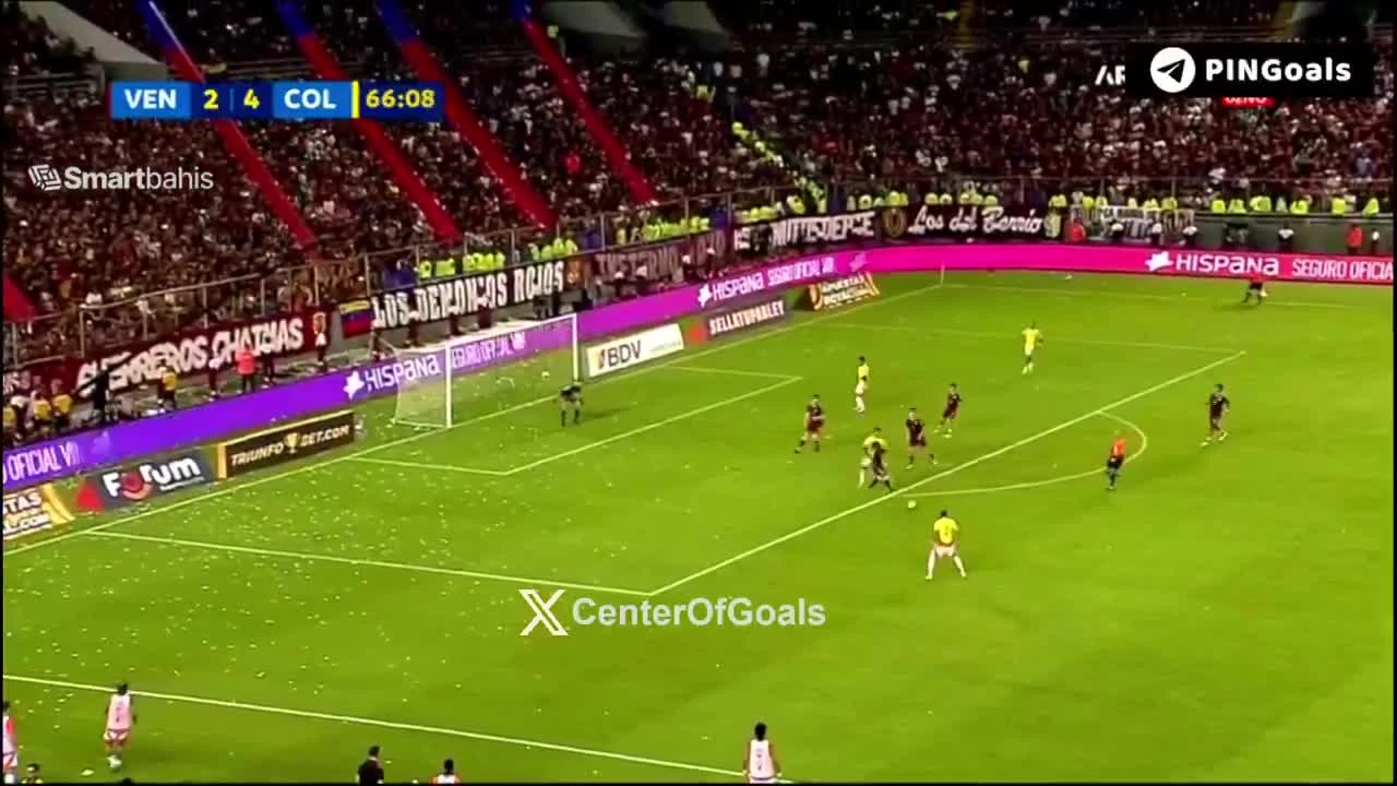 zaslepka skrotu video