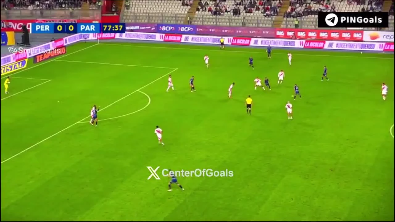 zaslepka skrotu video
