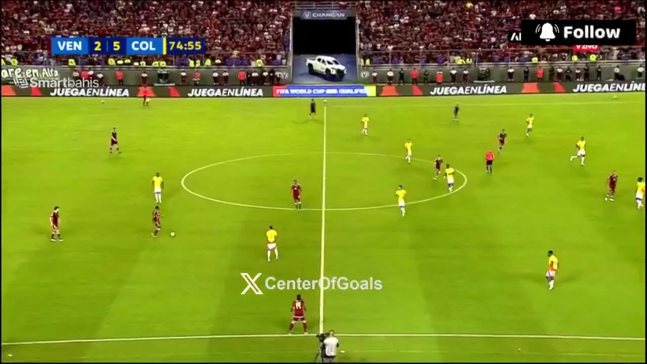 zaslepka skrotu video