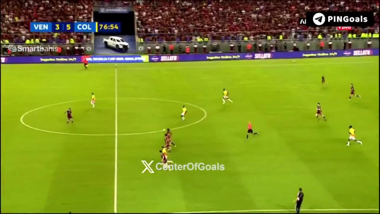 zaslepka skrotu video