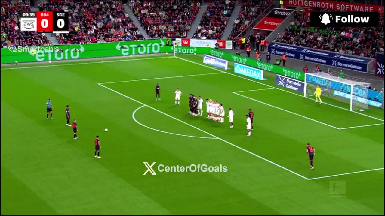zaslepka skrotu video